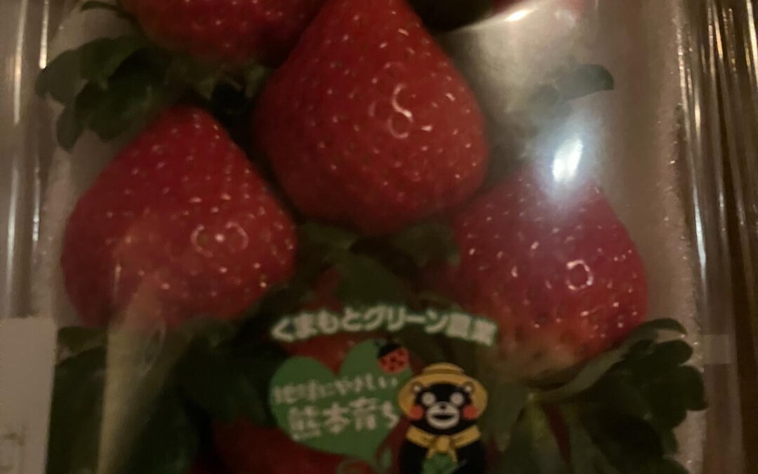 今日も1日お疲れさまでした(・ω・)ノ旦ｵﾁｬﾄﾞｿﾞ