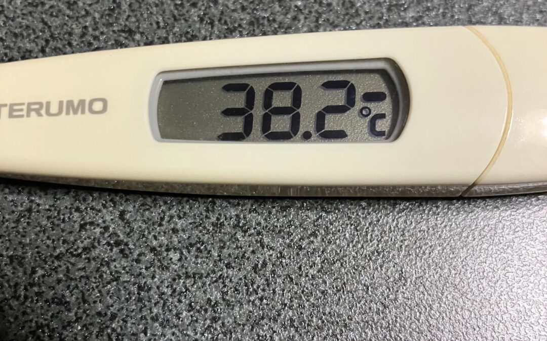 昨夜から熱が出てしまい本日臨時休業とさせて頂きます