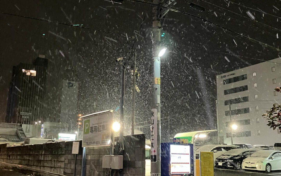 雪のため、本日は閉店します